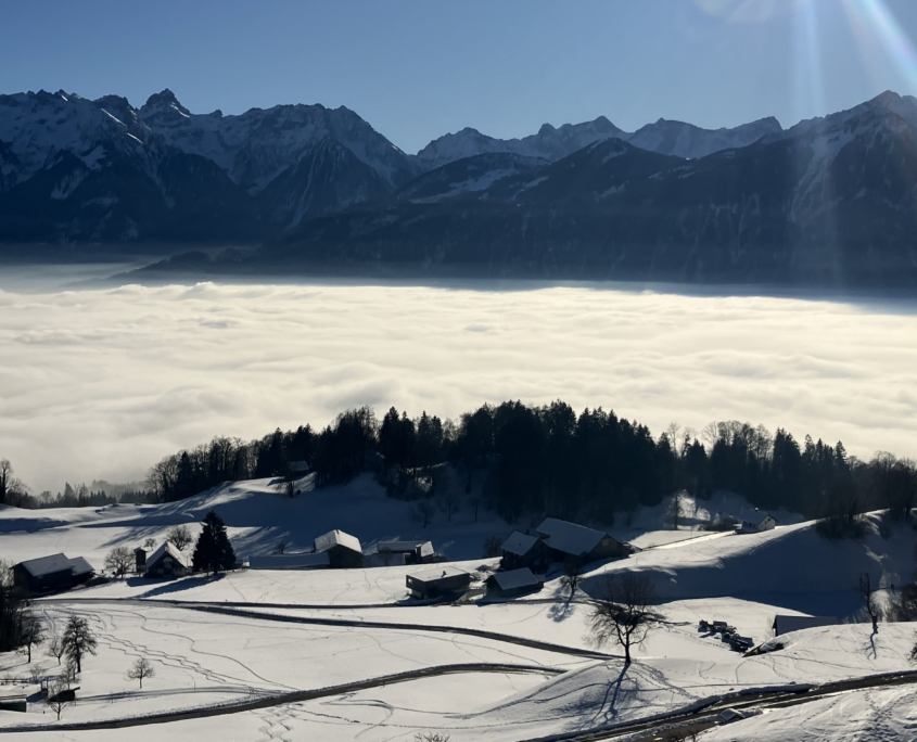 zugedeckt Nebel im Tal